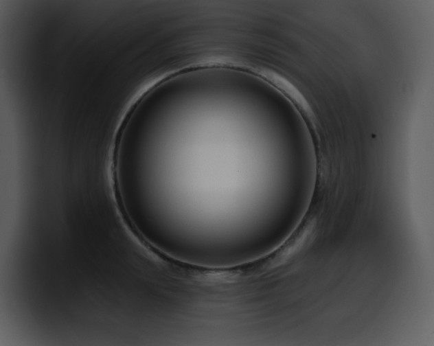 X0000100780847200806191301