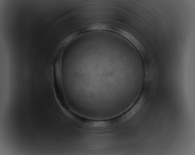 X0000100780849200806191301