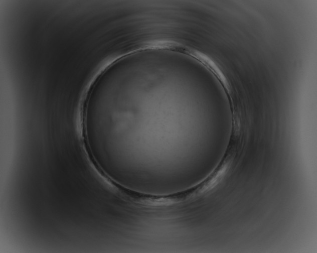 X0000100780851200806191301