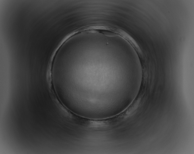 X0000100780852200806191301