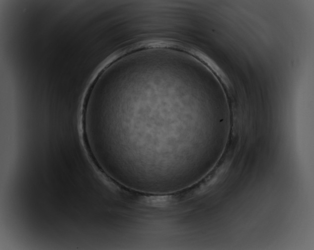 X0000100780853200806191301