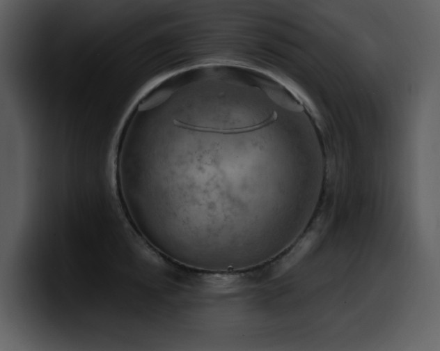 X0000100780854200806191301