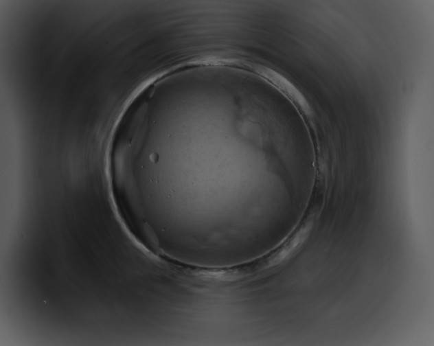 X0000100780855200806191301