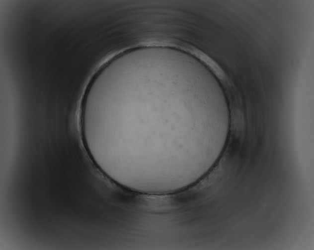 X0000100780856200806191301