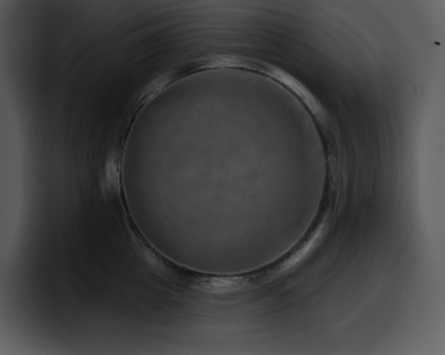 X0000100780857200806191301