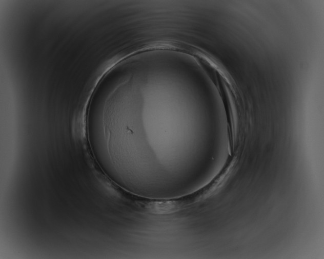 X0000100780858200806191301