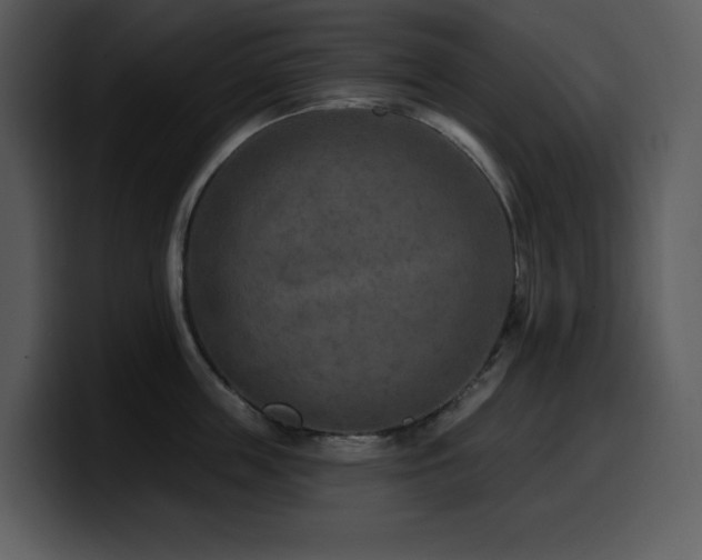 X0000100780859200806191301