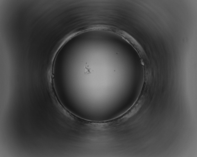 X0000100780860200806191301