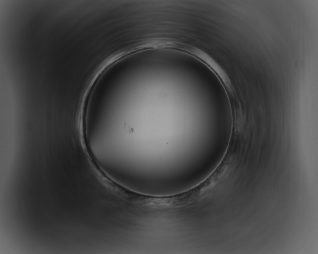 X0000100780861200806191301