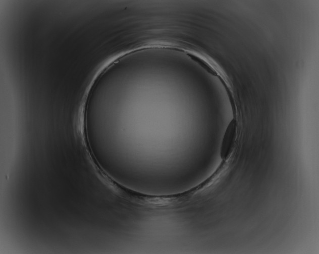 X0000100780862200806191301