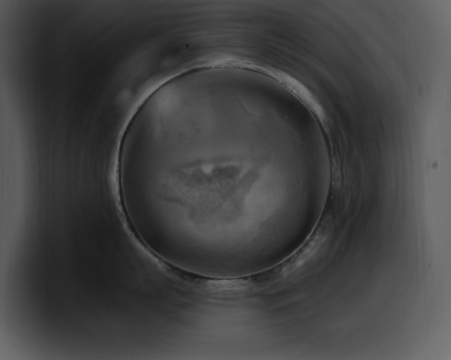 X0000100780863200806191301