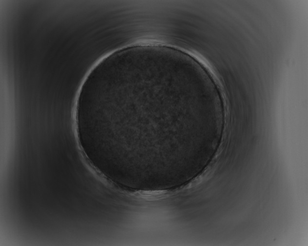 X0000100780864200806191301