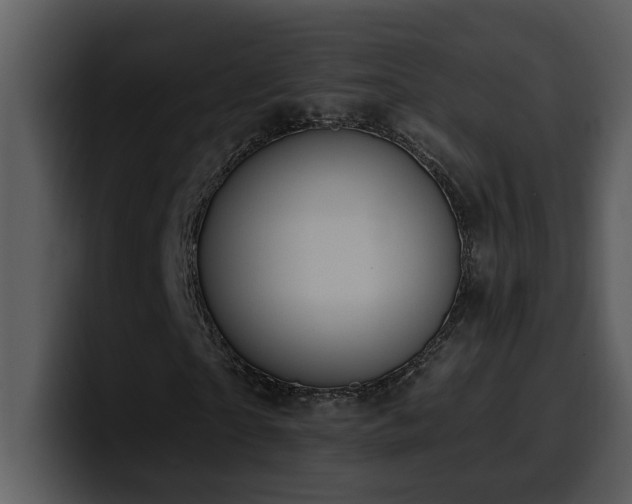 X0000100780865200806191300