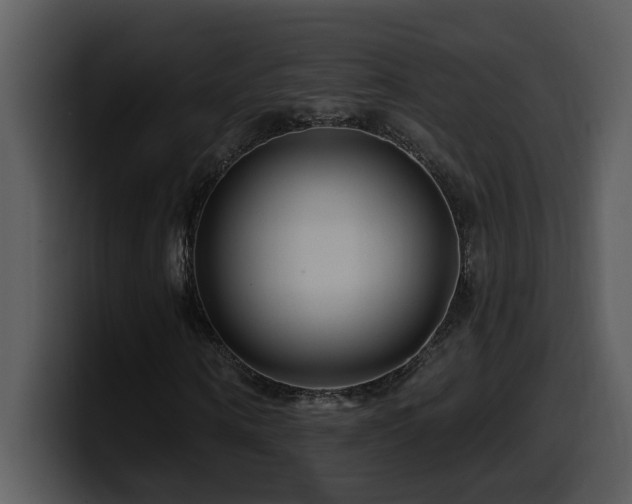 X0000100780866200806191300