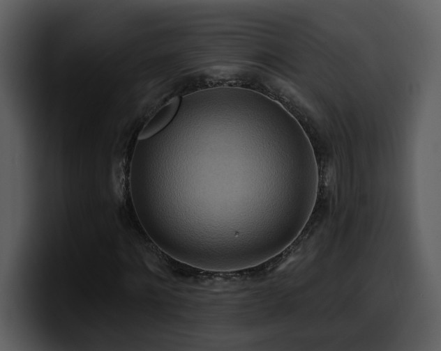 X0000100780868200806191300