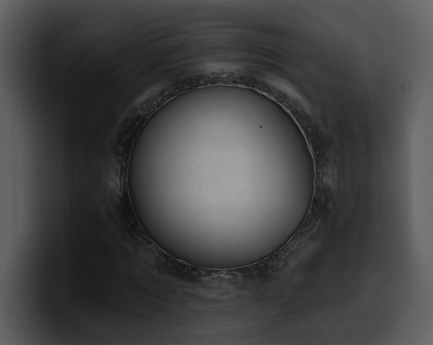 X0000100780869200806191300