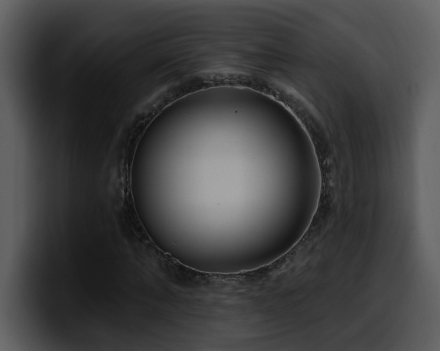 X0000100780870200806191300