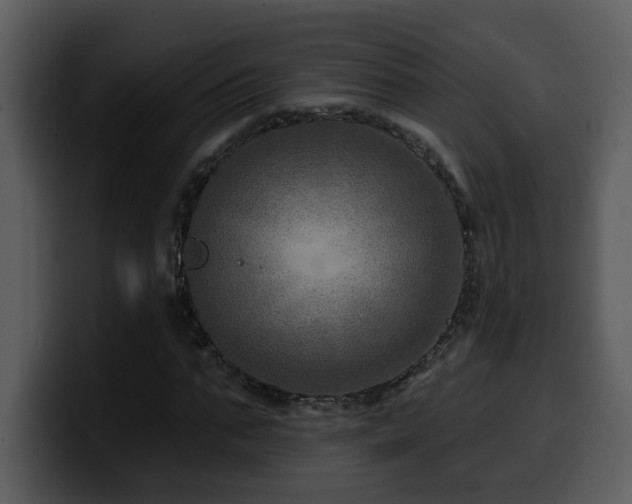 X0000100780871200806191300