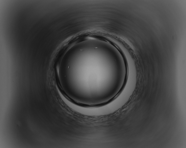 X0000100780872200806191300