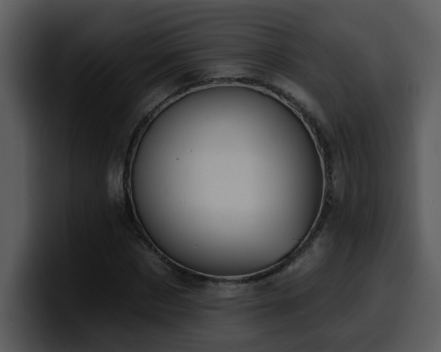 X0000100780873200806191300