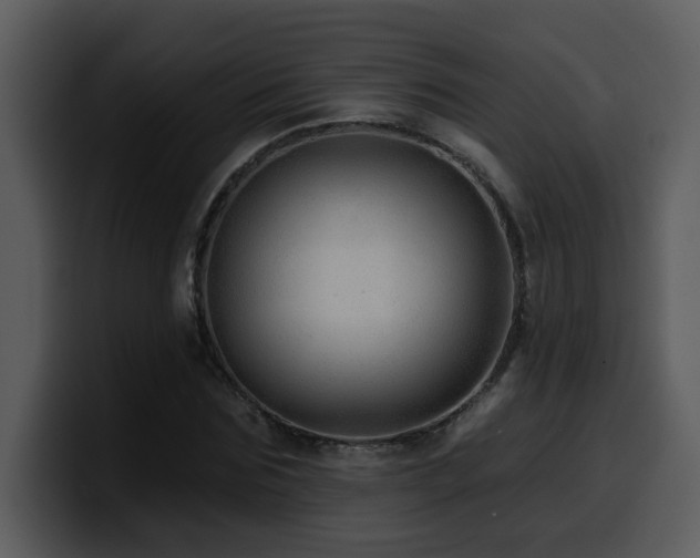 X0000100780875200806191300