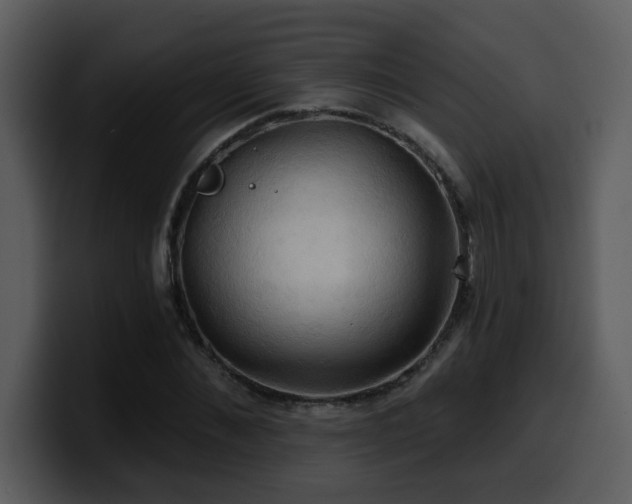 X0000100780876200806191300