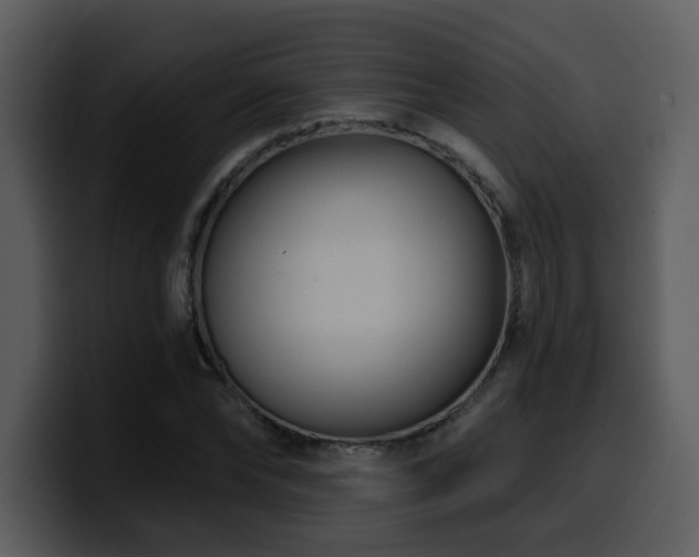 X0000100780878200806191300