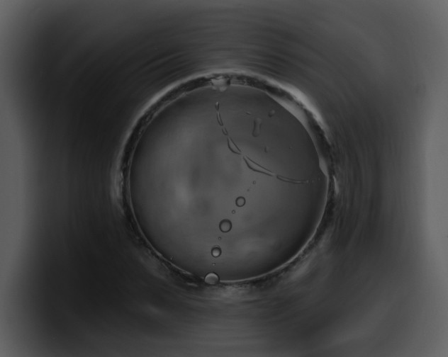 X0000100780879200806191300