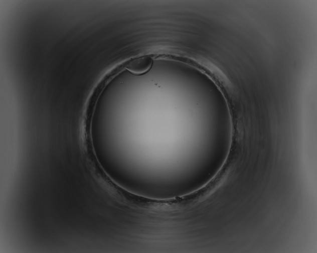 X0000100780880200806191300