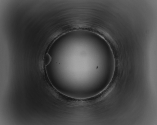 X0000100780881200806191300