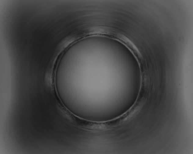 X0000100780882200806191300