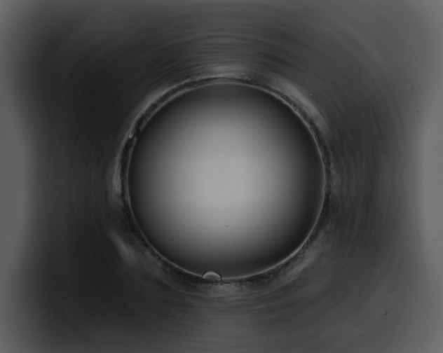 X0000100780883200806191300