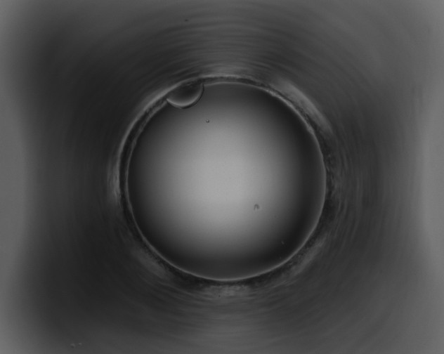 X0000100780884200806191300