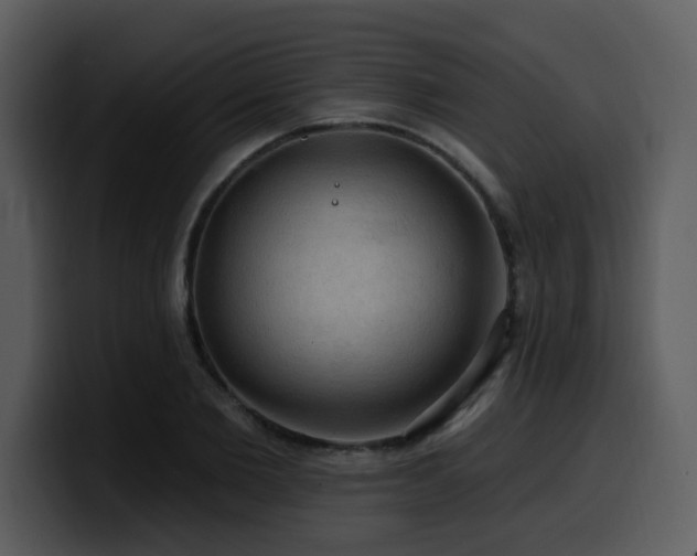 X0000100780885200806191300