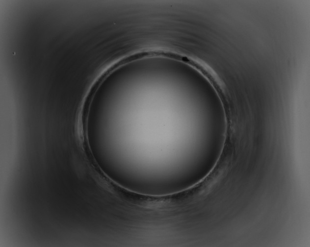 X0000100780887200806191300