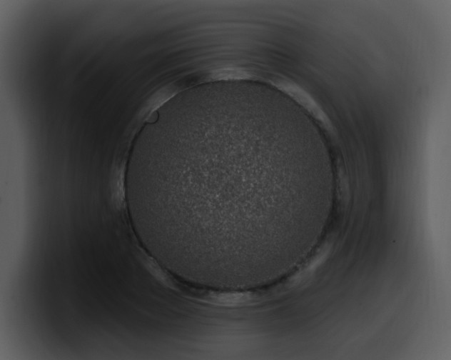 X0000100780889200806191300