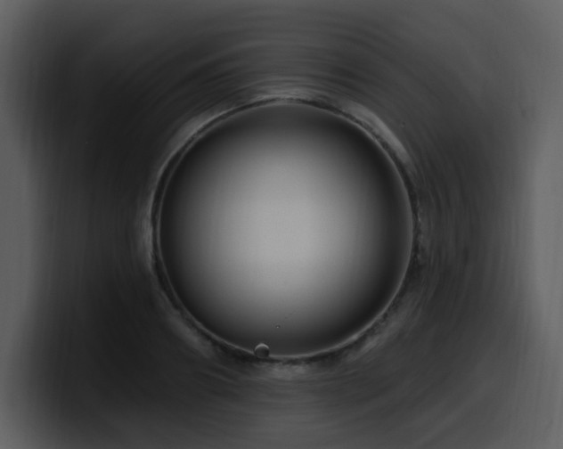 X0000100780890200806191300