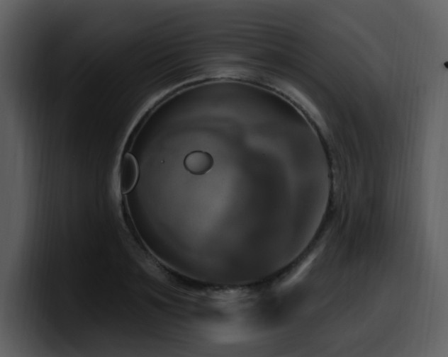 X0000100780891200806191300