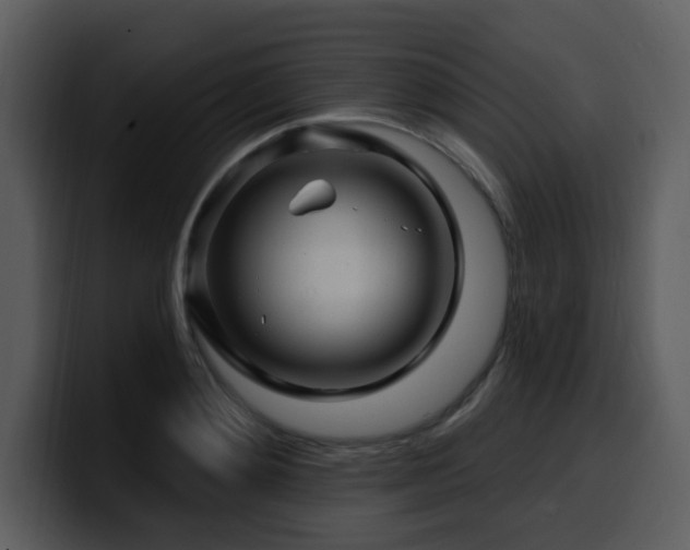 X0000100780892200806191300