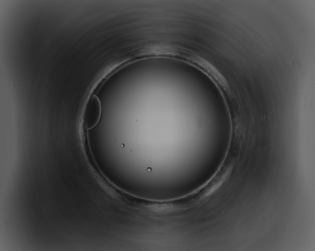 X0000100780893200806191300