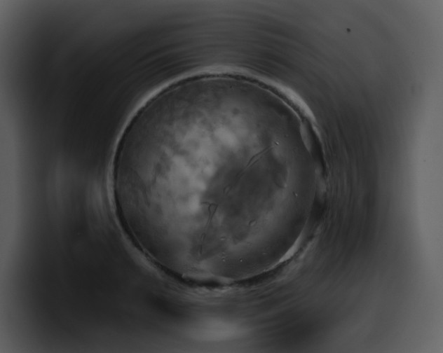 X0000100780895200806191300