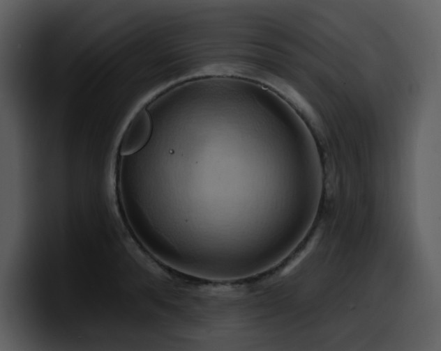 X0000100780896200806191300