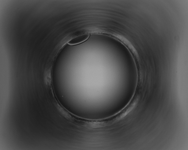 X0000100780897200806191300