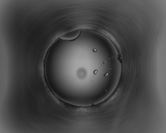 X0000100780898200806191300