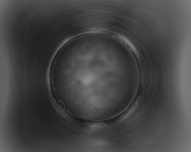 X0000100780899200806191300