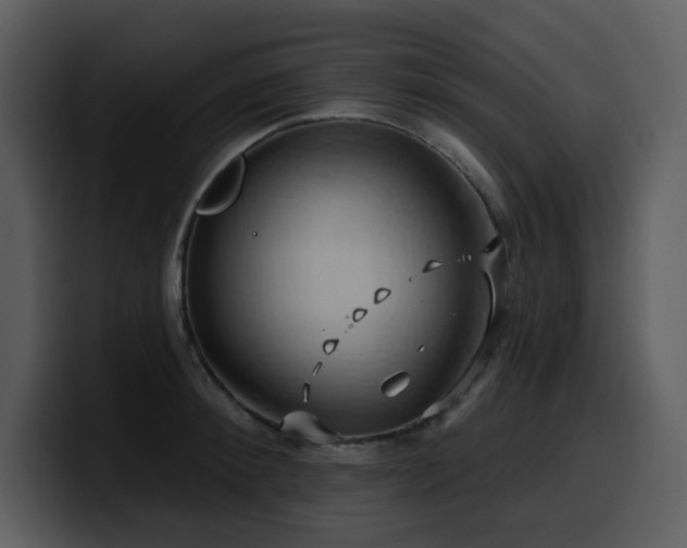 X0000100780900200806191300