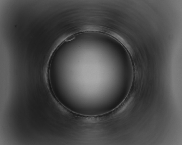 X0000100780901200806191300