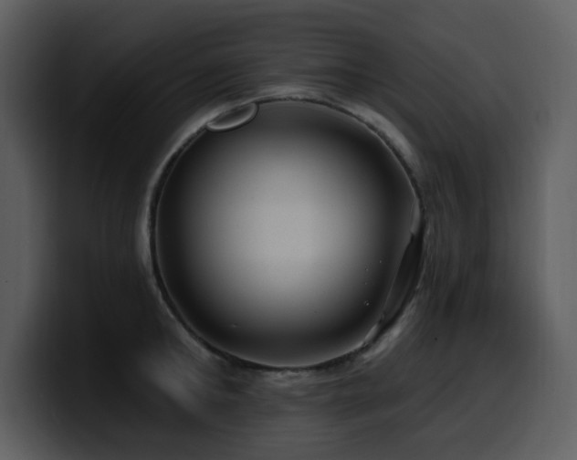 X0000100780902200806191300