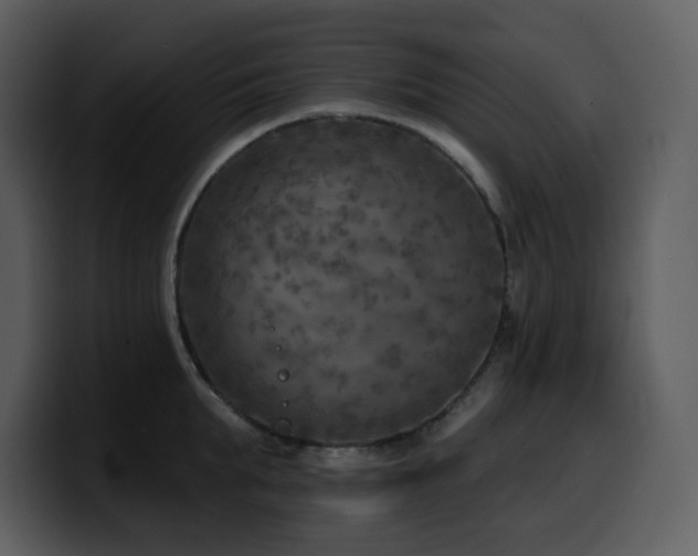 X0000100780903200806191300