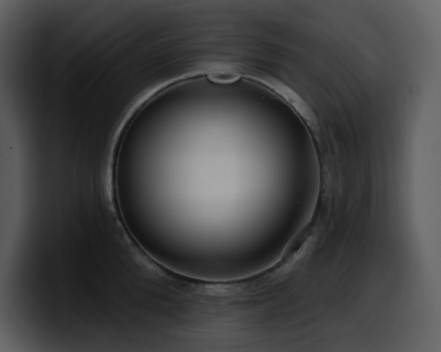 X0000100780904200806191300